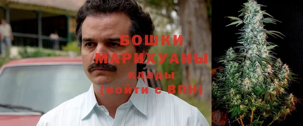 сатива Приозерск