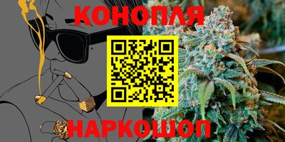 сатива Кунгур