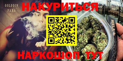 сатива Кунгур