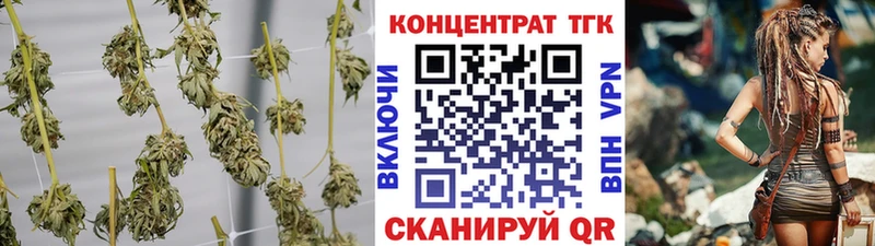 ТГК концентрат  Купить где  Улан-Удэ 