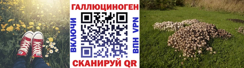 Галлюциногенные грибы ЛСД  Купить закладки  Улан-Удэ 