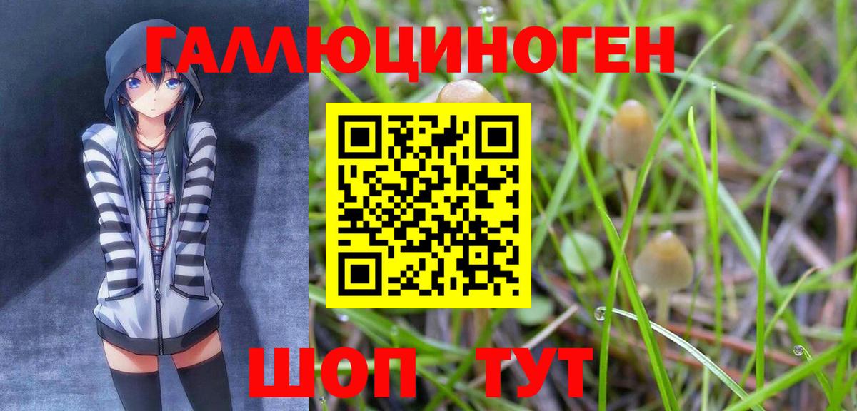Улан-Удэ  Псилоцибиновые грибы Cubensis  Вход с VPN 